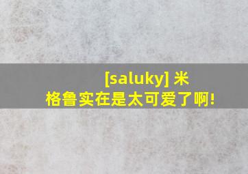 [saluky] 米格鲁实在是太可爱了啊!